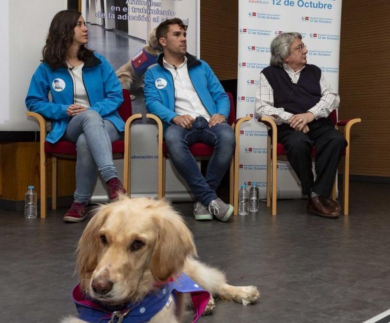 El Hospital 12 de Octubre demuestra los beneficios de la terapia asistida con animales en pacientes alcohólicos