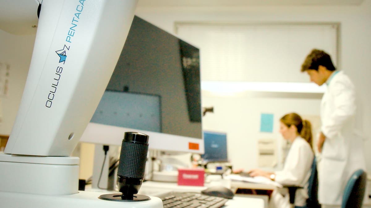 Representación visual del proyecto europeo de terapias para cáncer de vejiga con enfoque en medicina personalizada