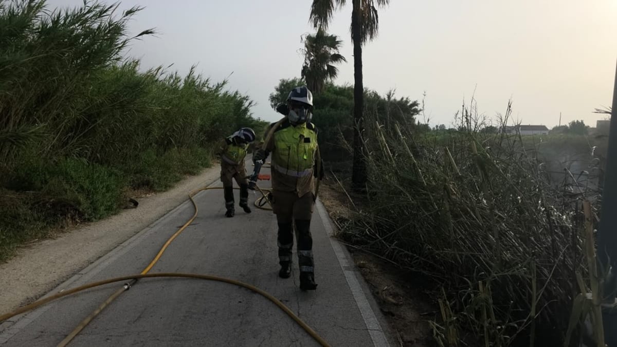 Medios aéreos y terrestres desplegados en labores de extinción de incendios en La Arboleja y Rincón de Seca