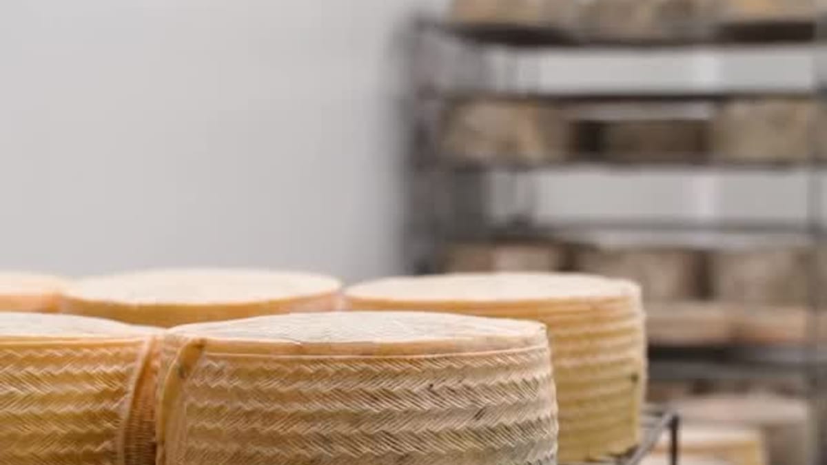 Quesería La Nava en la Sierra de Aracena: quesos artesanales elaborados con materia prima de calidad y procesos tradicionales