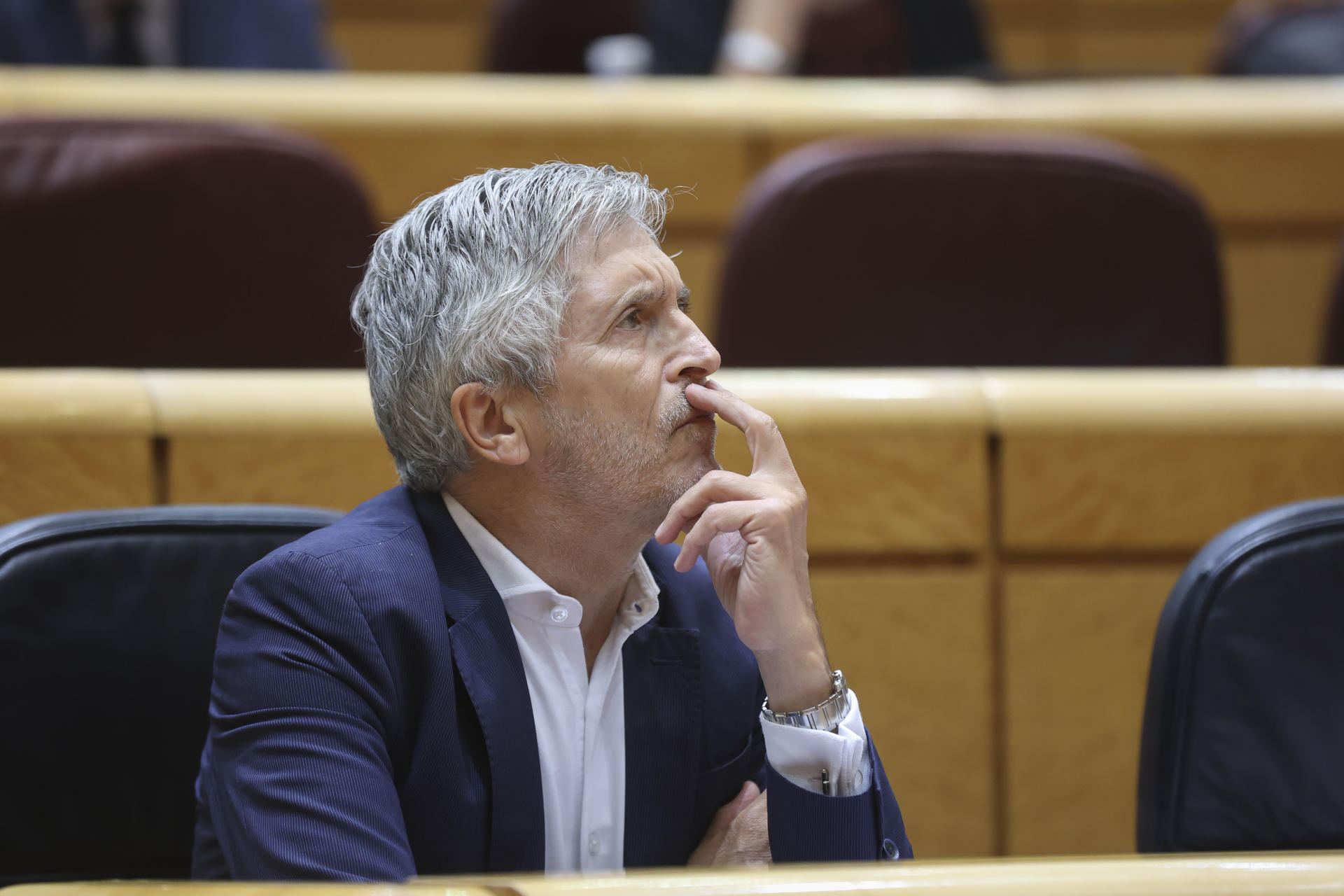 El ministro del Interior, Fernando Grande-Marlaska durante la sesión de control al Gobierno celebrada por el pleno del Senado, este martes en Madrid. EFE/ Victor Lerena