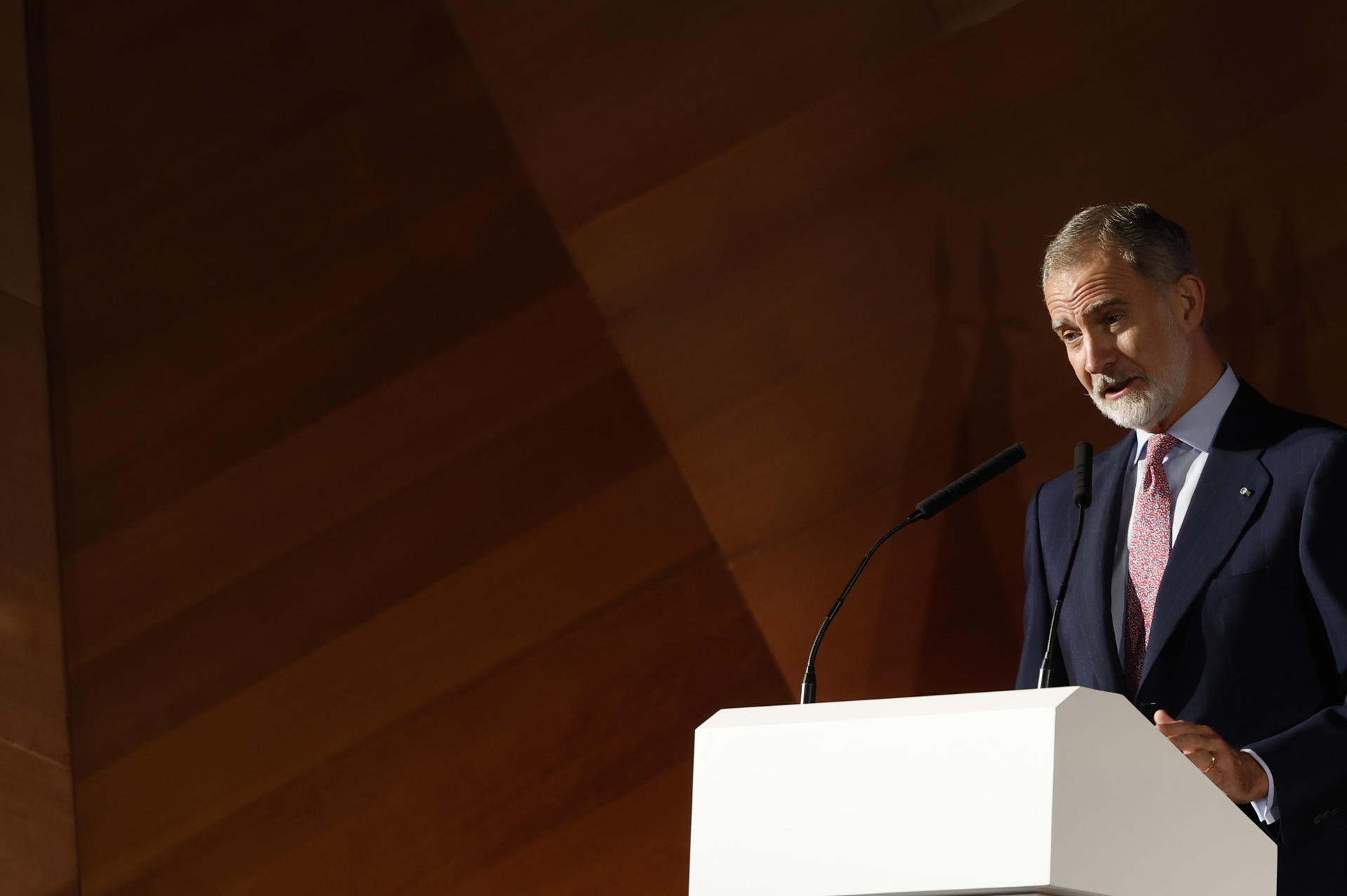 El rey Felipe VI, en una imagen de archivo. EFE/ J.J.Guillen