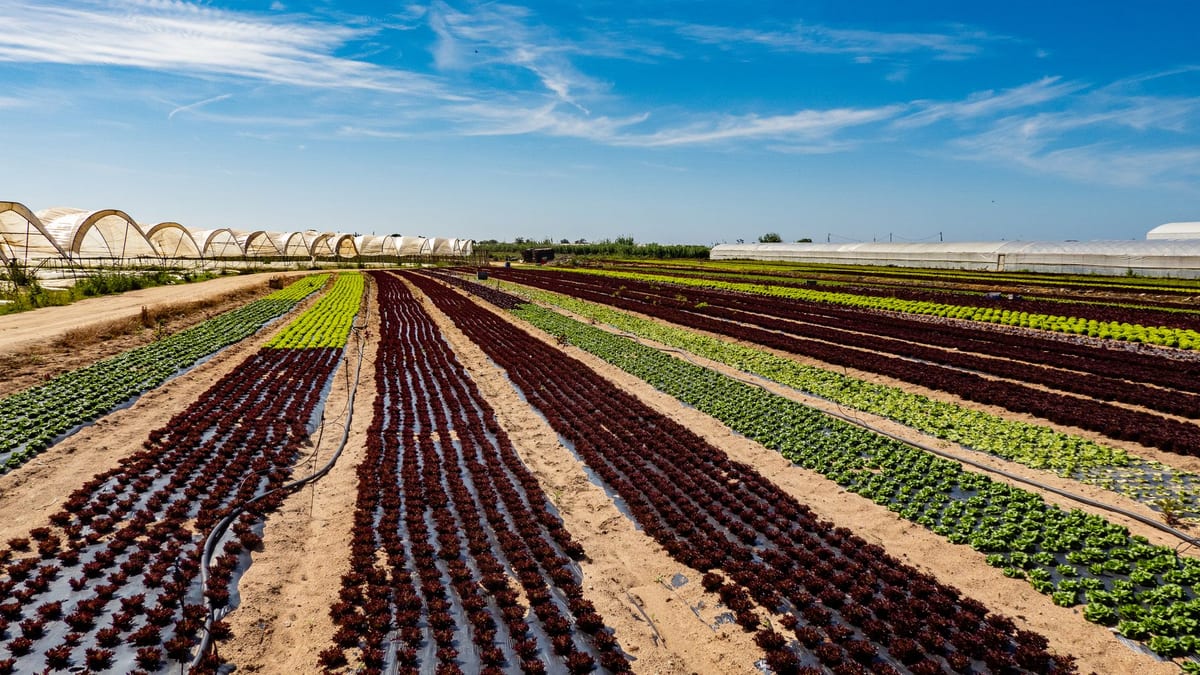 Sistemas de riego modernizado en campo agrícola de la Comunitat Valenciana