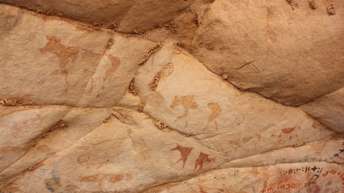 Entrada de Cova Dones con arte rupestre paleolítico del este peninsular