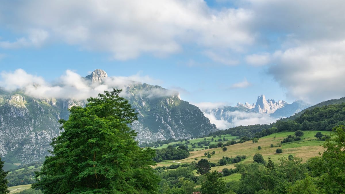 Productos agroalimentarios asturianos promocionados por el plan Saborea el Paraíso