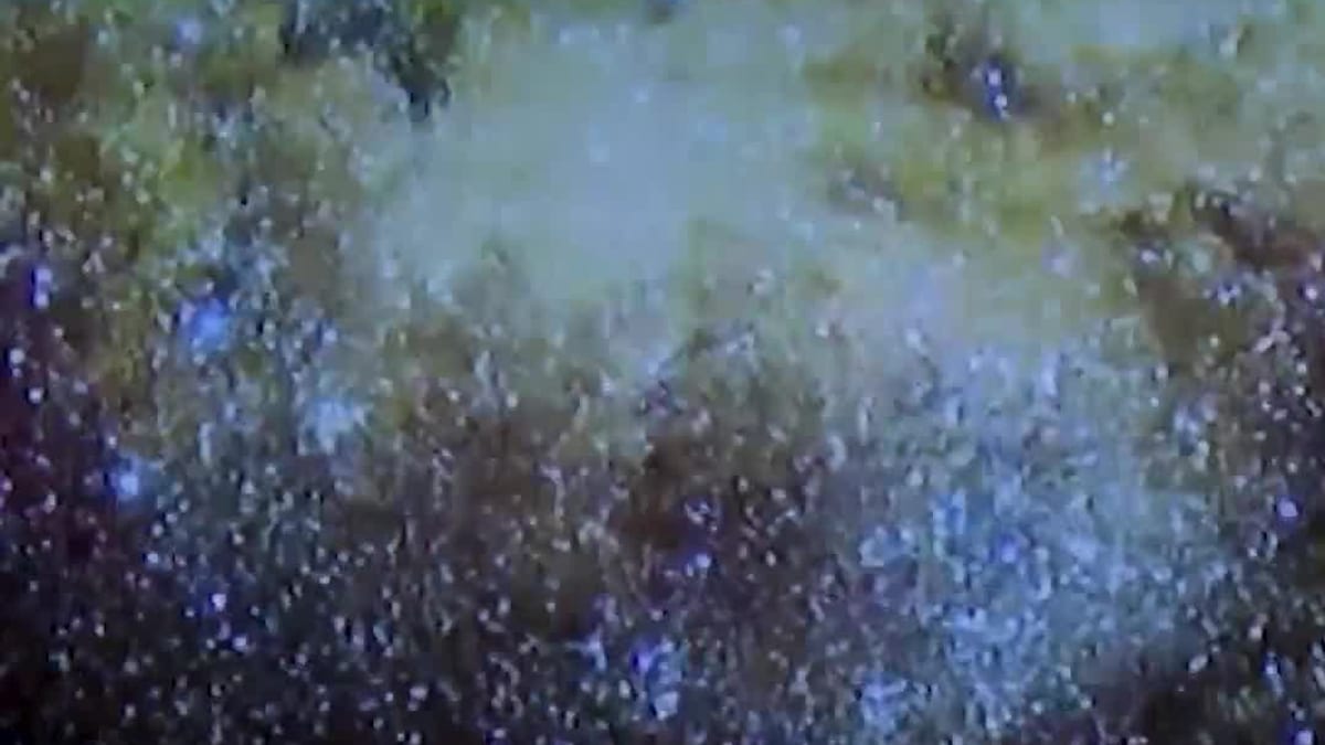 Exposición 40 años desvelando el cosmos en el Planetario de Madrid. Marta Rivera de la Cruz observa una de las muestras sobre exploración espacial