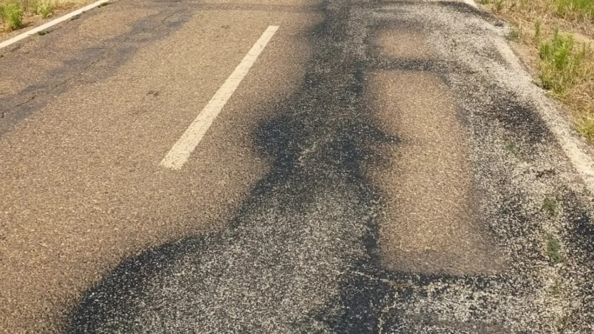 Carretera entre Belver de los Montes y Vezdemarbán en Zamora durante trabajos de mejora