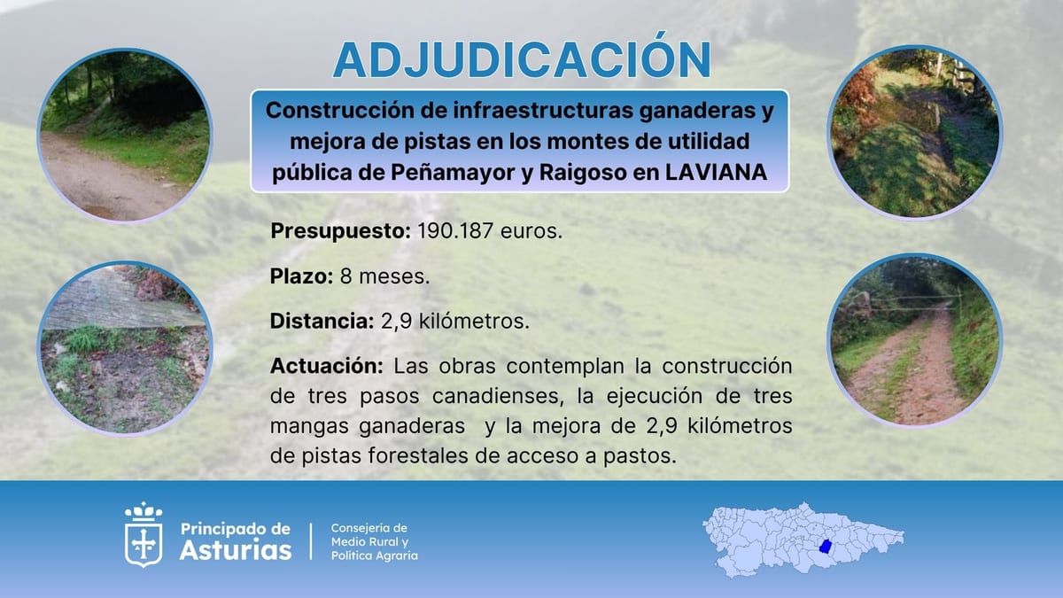 Cartel de adjudicación de obras de infraestructuras ganaderas en Peñamayor y Raigoso, Laviana, por parte de la Consejería de Medio Rural del Principado de Asturias.