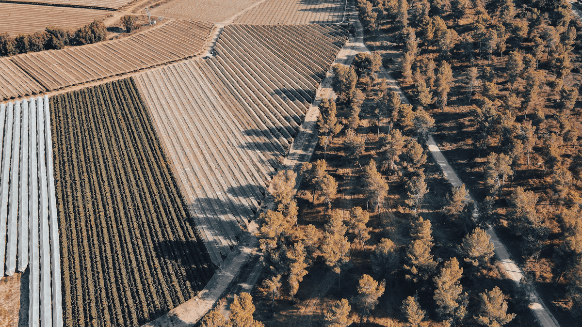 Pagos de anticipo de la Política Agraria Común a agricultores y ganaderos de la Comunitat Valenciana