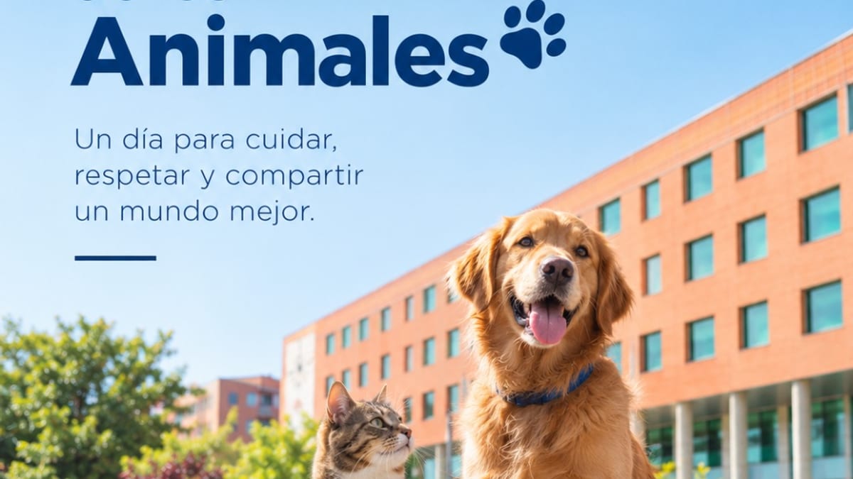 Cartel del Día Mundial de los Animales de Alcobendas del 4 de octubre con mensaje sobre cuidado, respeto y mundo mejor