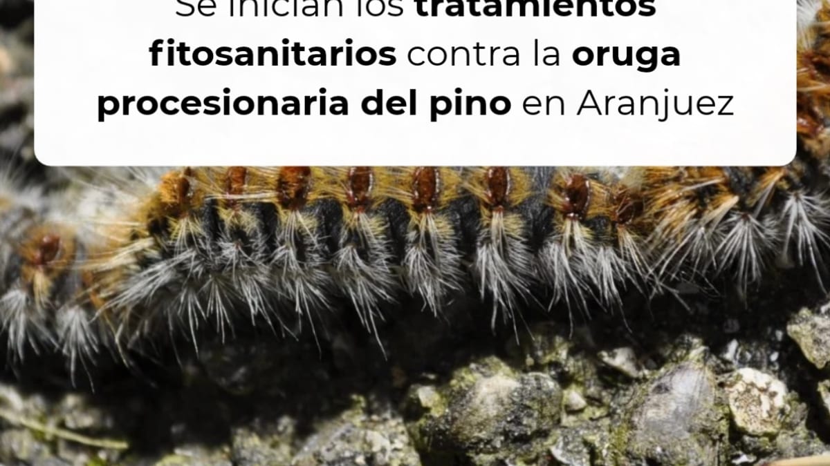 Cartel informativo sobre los tratamientos fitosanitarios contra la oruga procesionaria del pino en Aranjuez