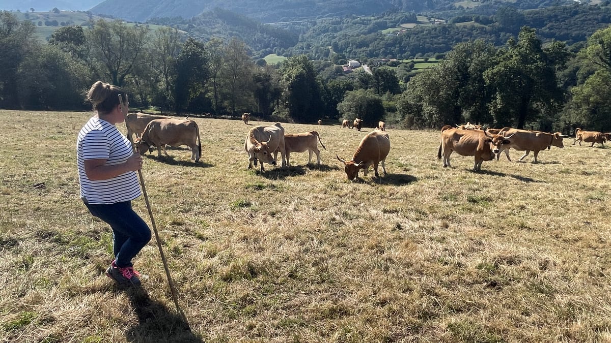 Acción del Gobierno de Asturias sobre incorporación de mujeres al sector agrario