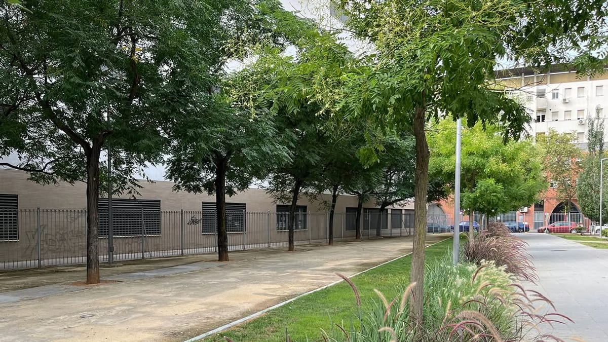 Vista del parque Ofelia Nieto con las nuevas zonas ajardinadas y plantas ornamentales recién plantadas junto al pasillo central