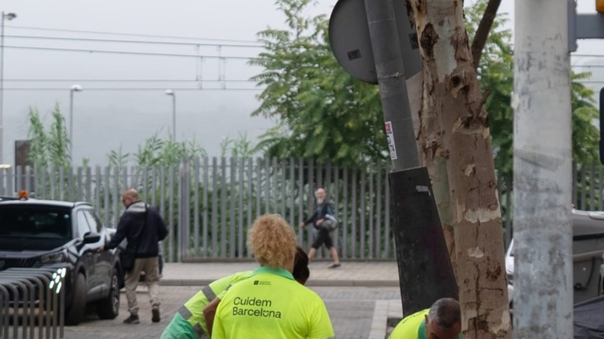 Equipos de servicios municipales trabajando en tareas de limpieza en los barrios de montaña afectados por aguaceros en Barcelona