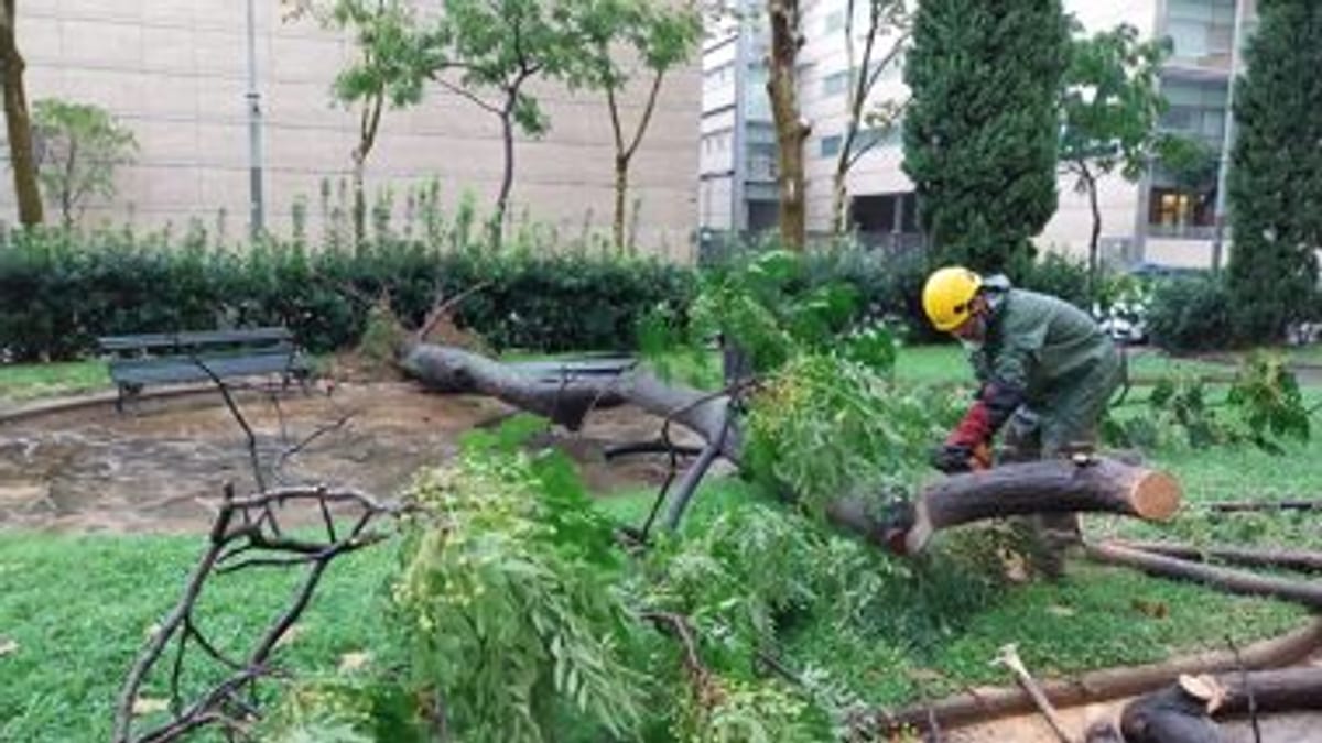 Parque de Barcelona durante condiciones meteorológicas adversas con indicación de cierre preventivo