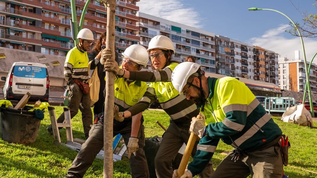 Detall de plantació d'arbres a Barcelona com a mesura del Pla Clima per refrescar els espais públics