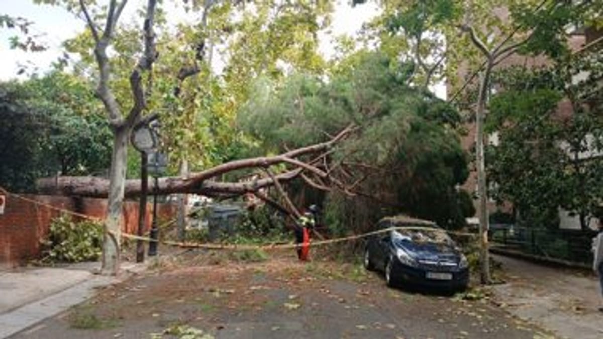 Labores de recuperación en Barcelona tras episodio de lluvias excepcionales
