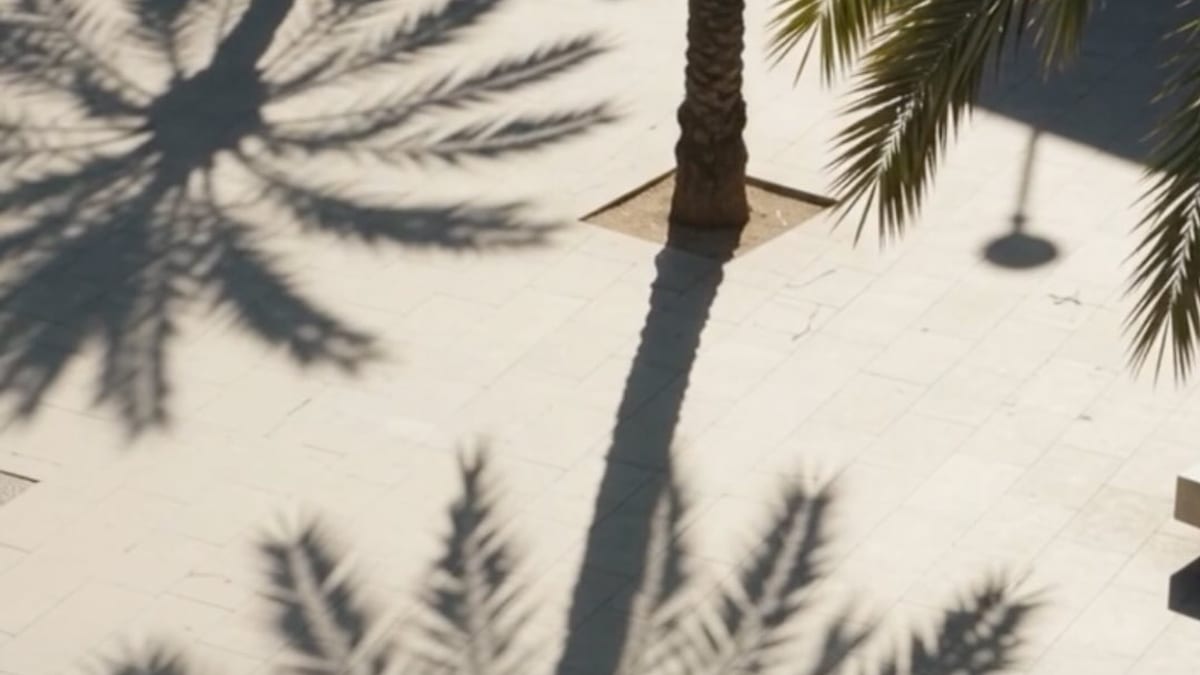 Joc d'ombres projectades sobre una plaça a Barcelona durant l'estiu, creant zones de confort i refugi urbà