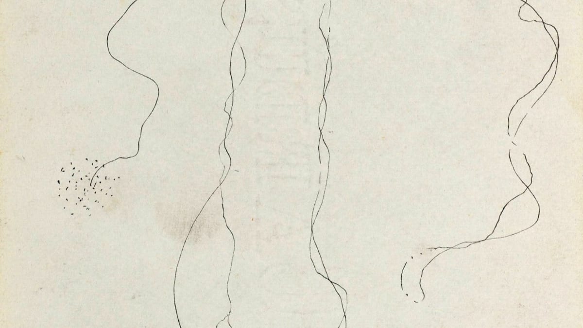 Detalle del dibujo firmado por Federico García Lorca y Salvador Dalí en 1927 en la Residencia de Estudiantes