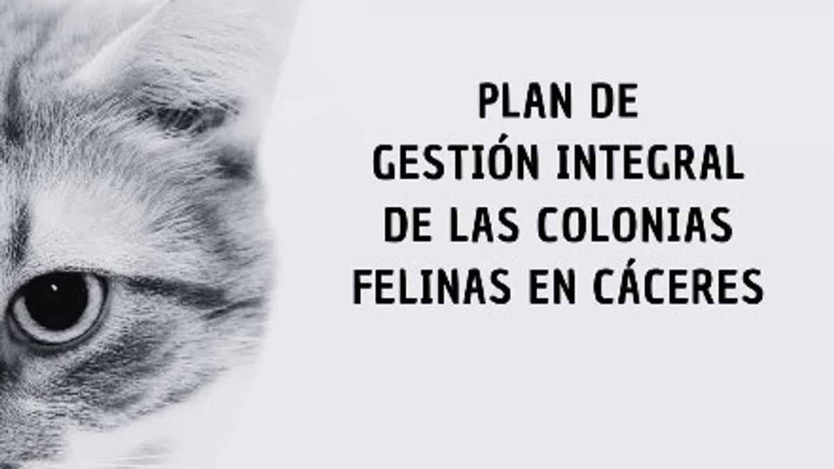Plan de Gestión Integral de las Colonias Felinas en Cáceres