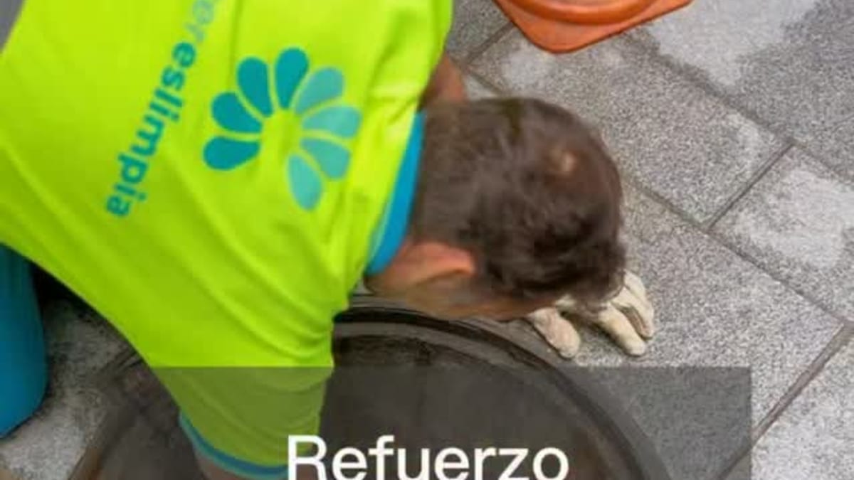 Cartel informativo sobre refuerzo de control de plagas del Ayuntamiento de Cáceres