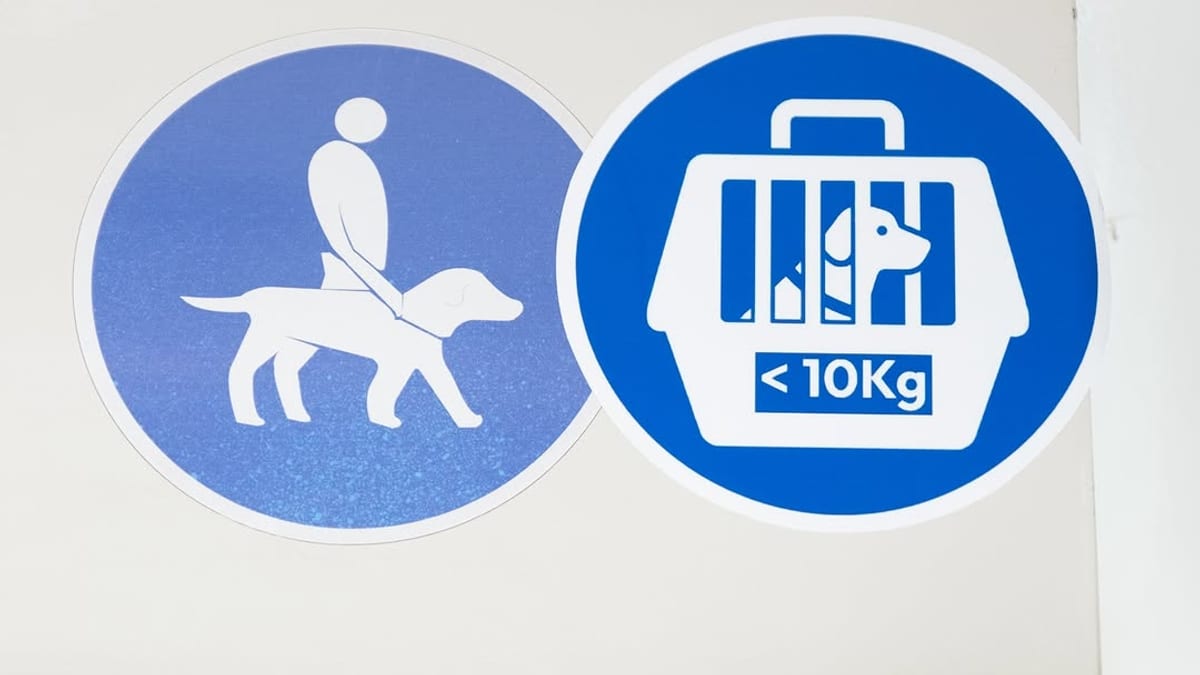 Cartel informativo del Ayuntamiento de Cádiz sobre normas de viaje con mascotas en autobús urbano