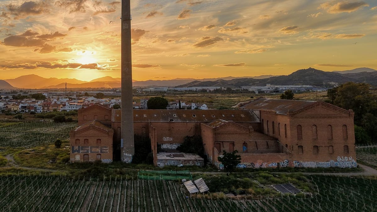 Feria del Aceite de Enguera, evento que muestra el trabajo de productores y la calidad del aceite de la comarca