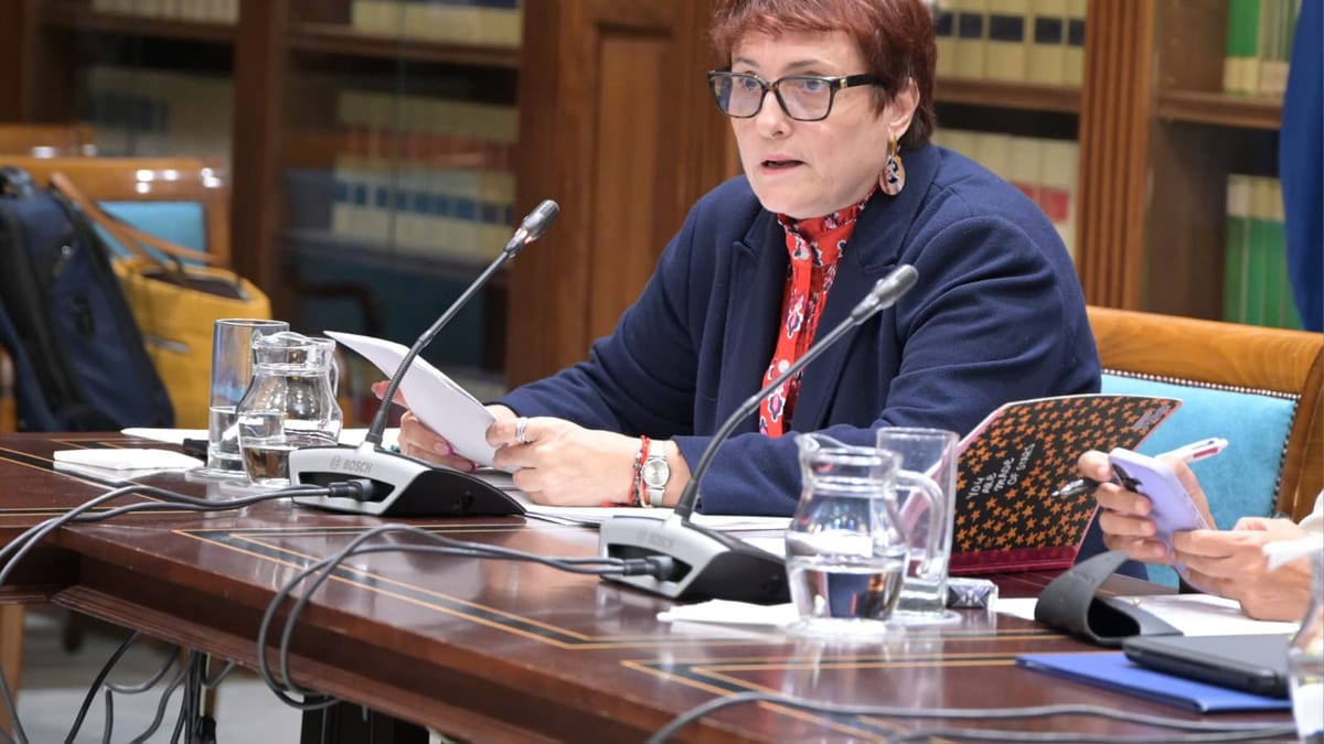 Candelaria Delgado, consejera de Bienestar Social del Gobierno de Canarias, en una sala de conferencias