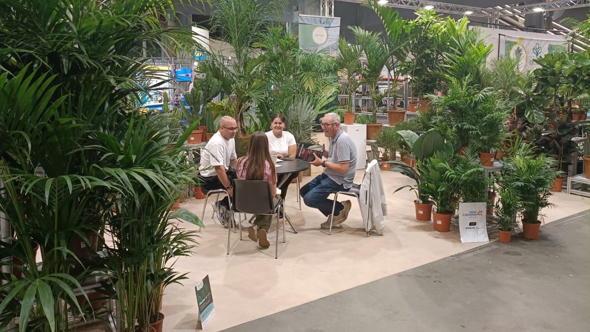 Cuatro personas en conversación junto a plantas en un espacio de exhibición comercial
