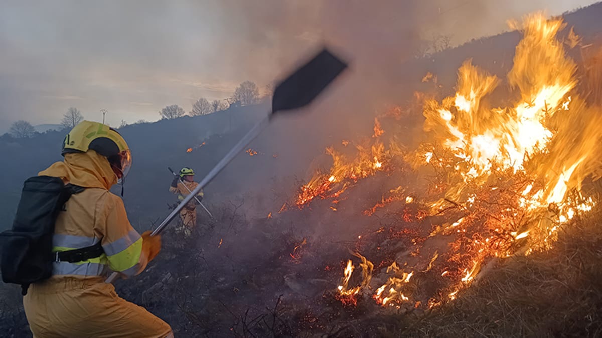 Bomberos de Cantabria en una acción de prevención de incendios forestales