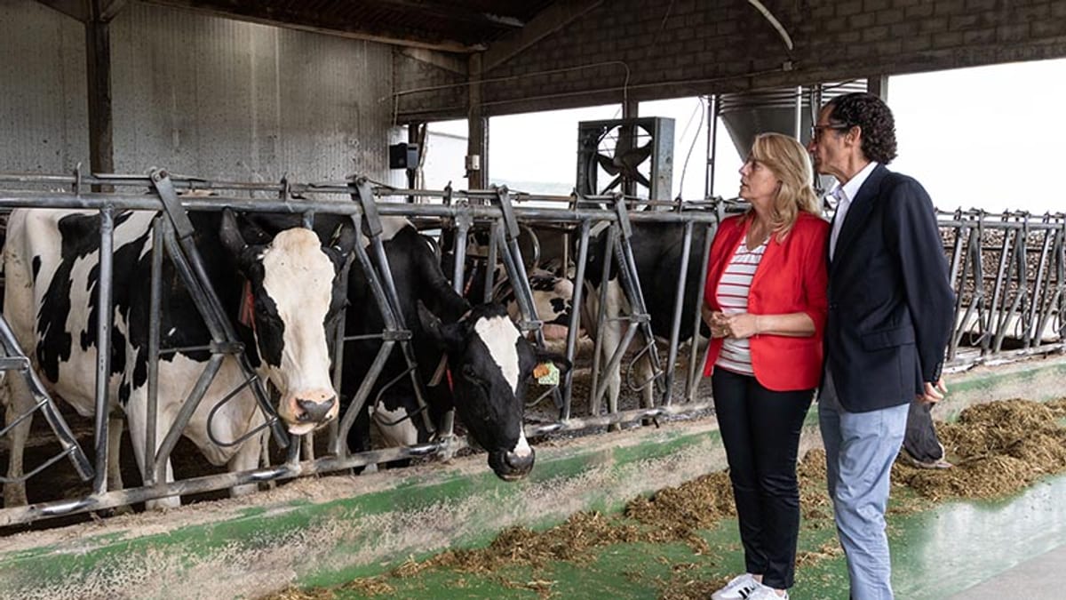 Consejera de Ganadería de Cantabria presentando el nuevo procedimiento de bienestar animal