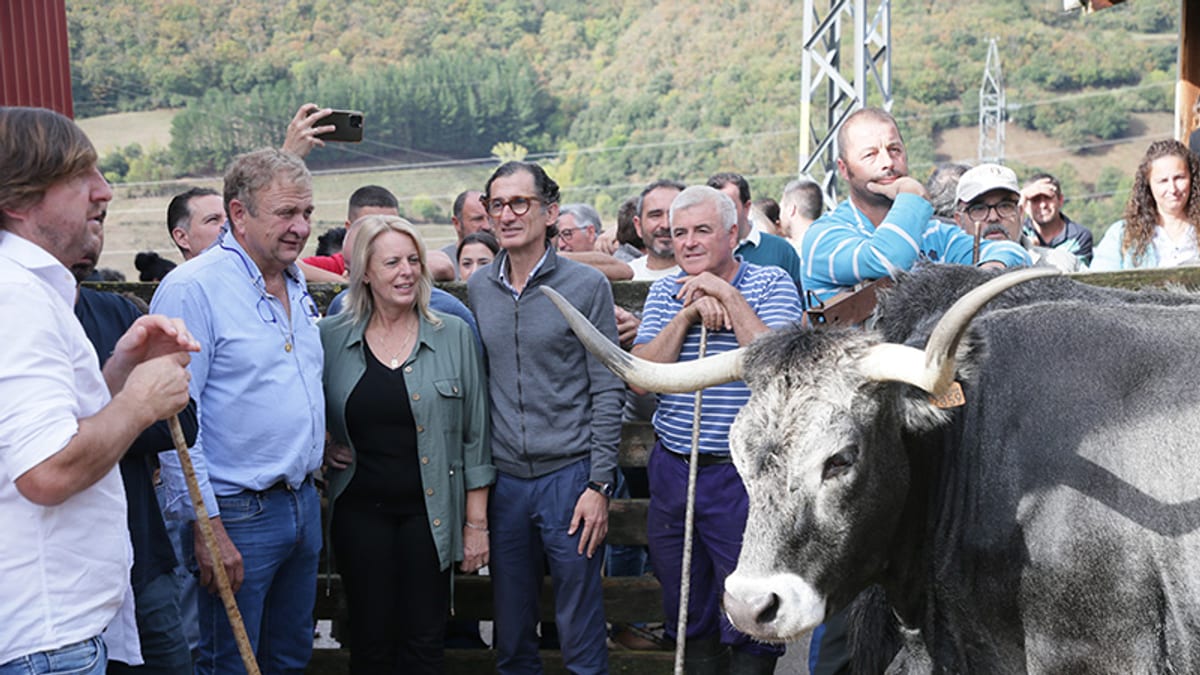 Grupo de personas reunidas alrededor de una vaca de raza Tudanca en un evento rural