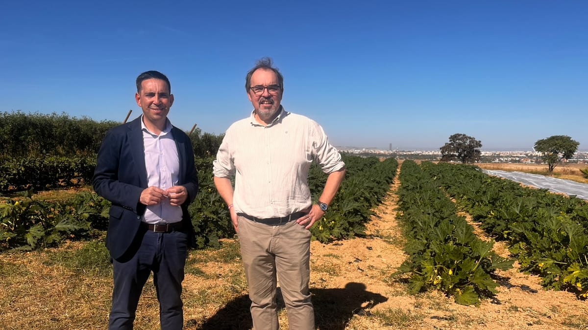 Plantación de árboles en la finca de inserción sociolaboral de Cáritas en Dos Hermanas