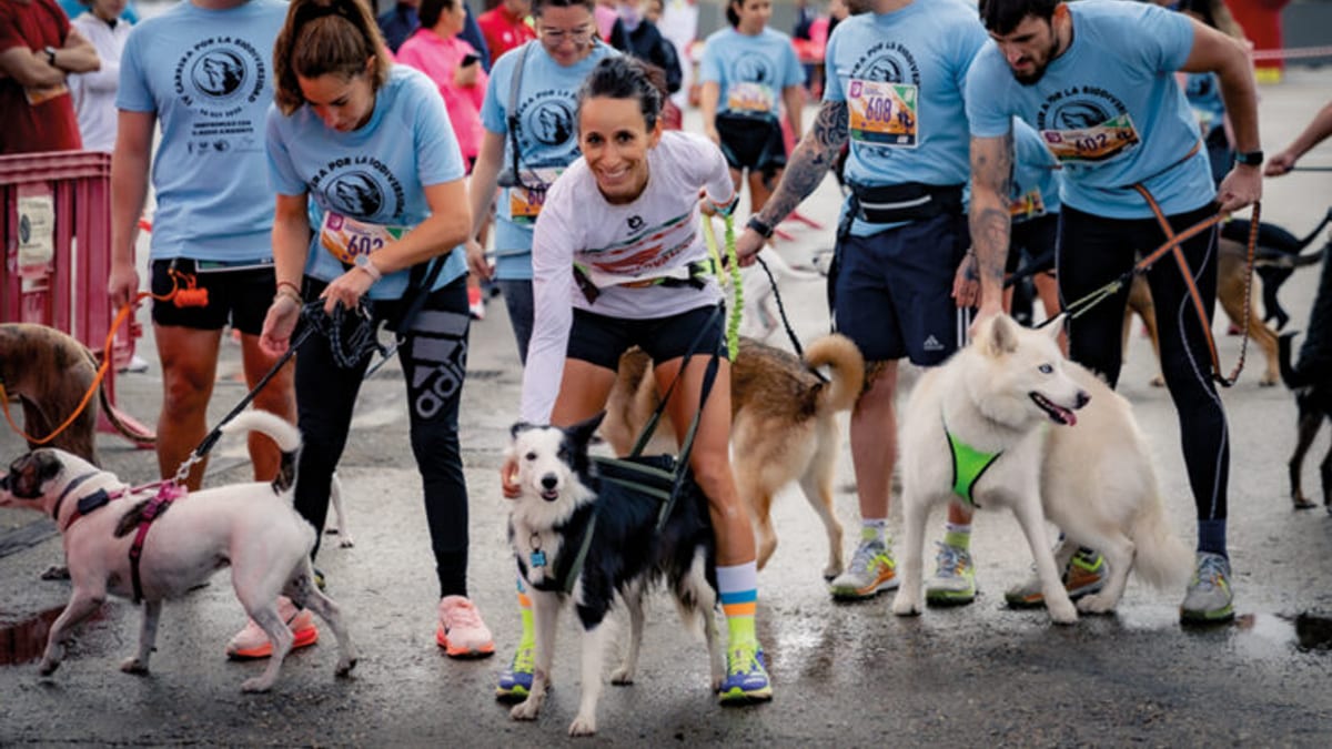 Grupo de corredores y corredoras participando en la Carrera por la Biodiversidad junto a varios perros durante el evento comunitario