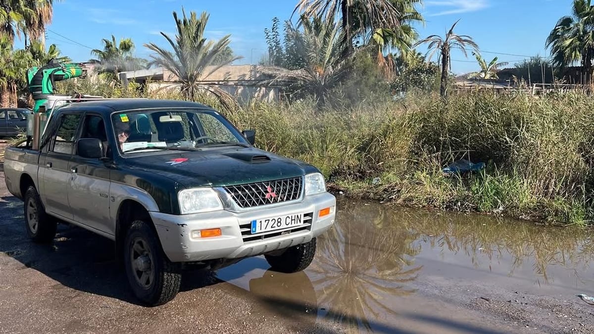 Operarios del Ayuntamiento de Castellón realizando tareas de control y prevención del mosquito en una zona verde de la ciudad