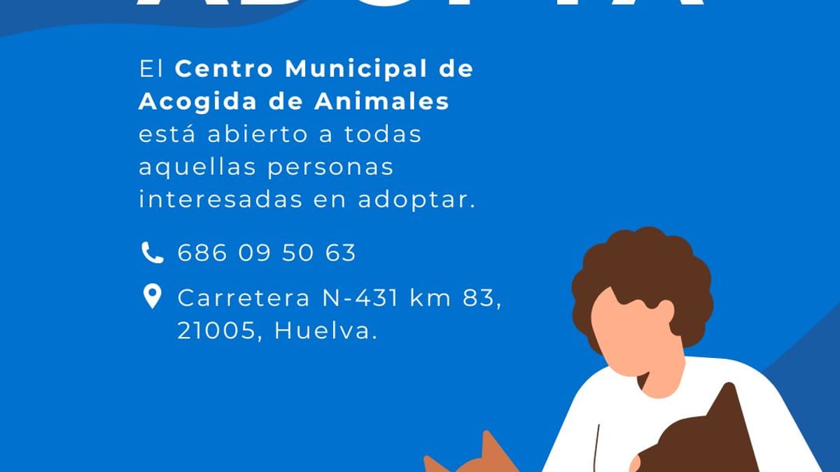 Centro Municipal de Acogida de Animales de Huelva, con animales esperando adopción