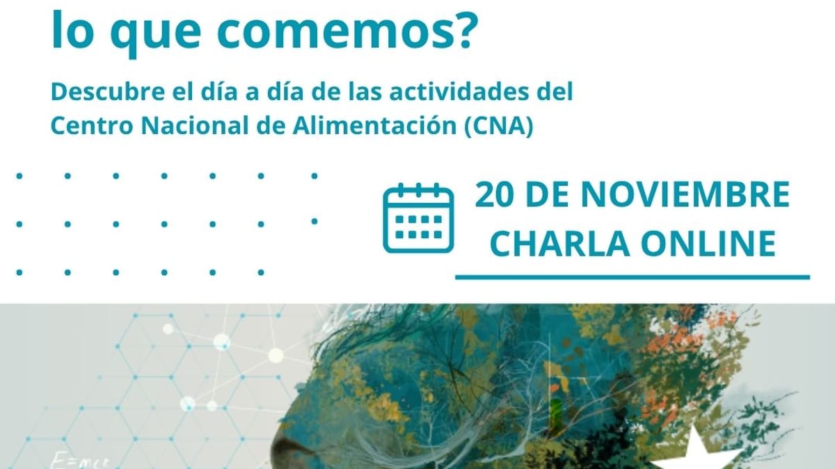 Cartel de la charla divulgativa del Centro Nacional de Alimentación sobre seguridad alimentaria, 20 de noviembre, charla online