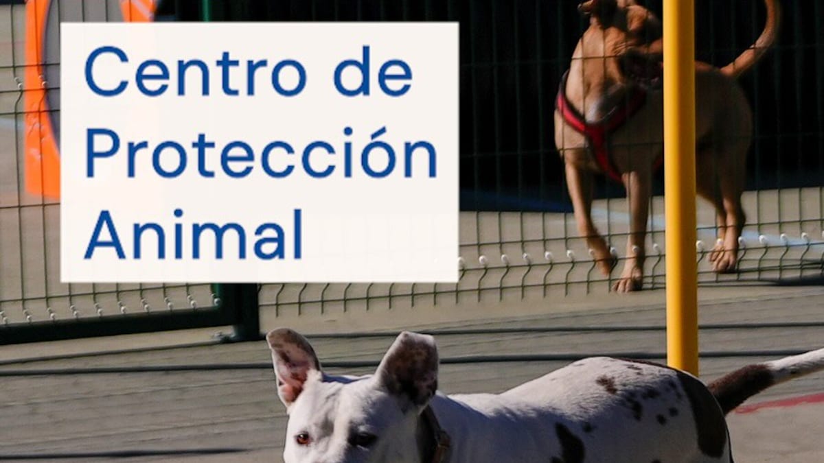 Acto conmemorativo del 20 aniversario del Centro de Protección Animal de Madrid con presencia de autoridades municipales