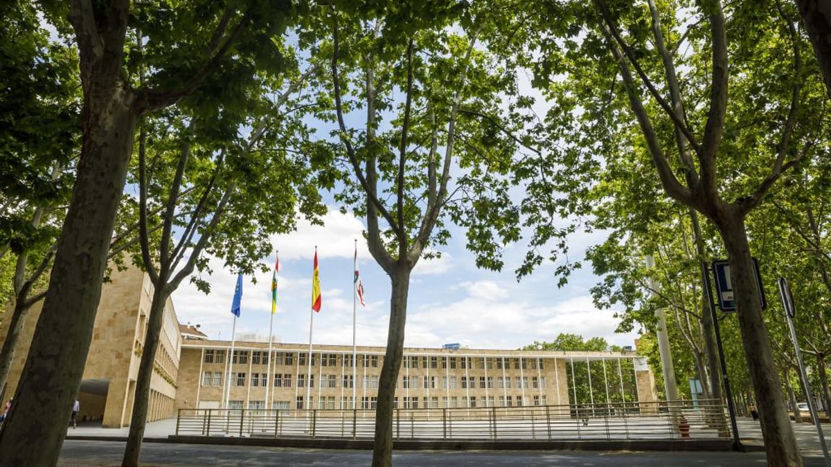 Fachada del Ayuntamiento de Logroño con banderas y arboleda