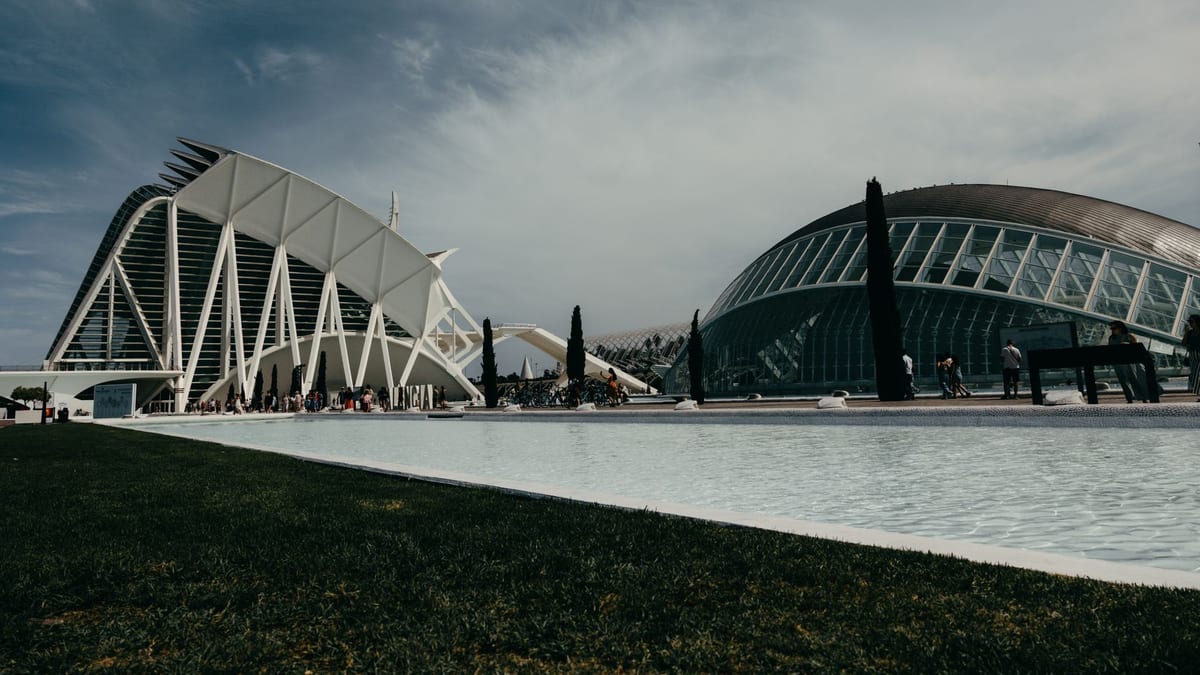 Plantas ornamentales en vivero de la Comunitat Valenciana