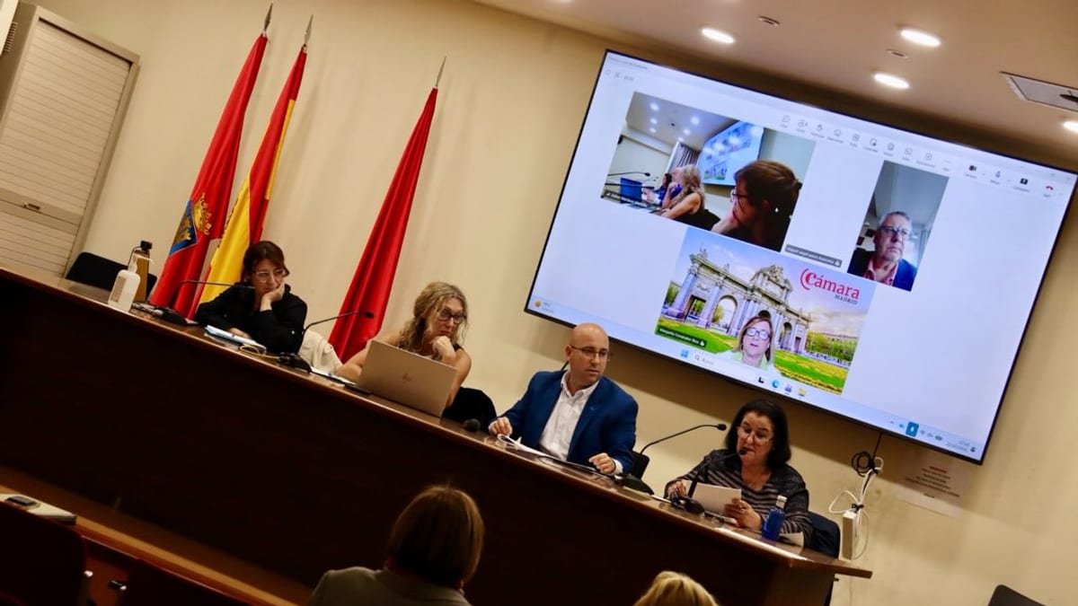 Sesión ordinaria del Consejo Local de Consumo de Alcalá de Henares con participantes presenciales y conexiones telemáticas