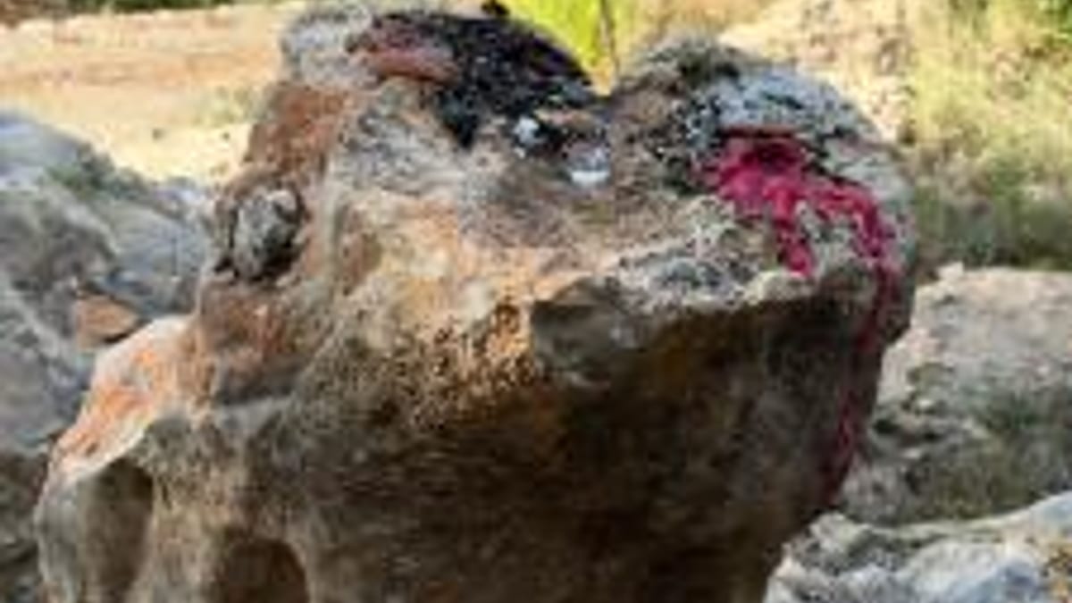 Residuos abandonados en sa Culleram, Ibiza, incluida fruta en descomposición y restos de combustión