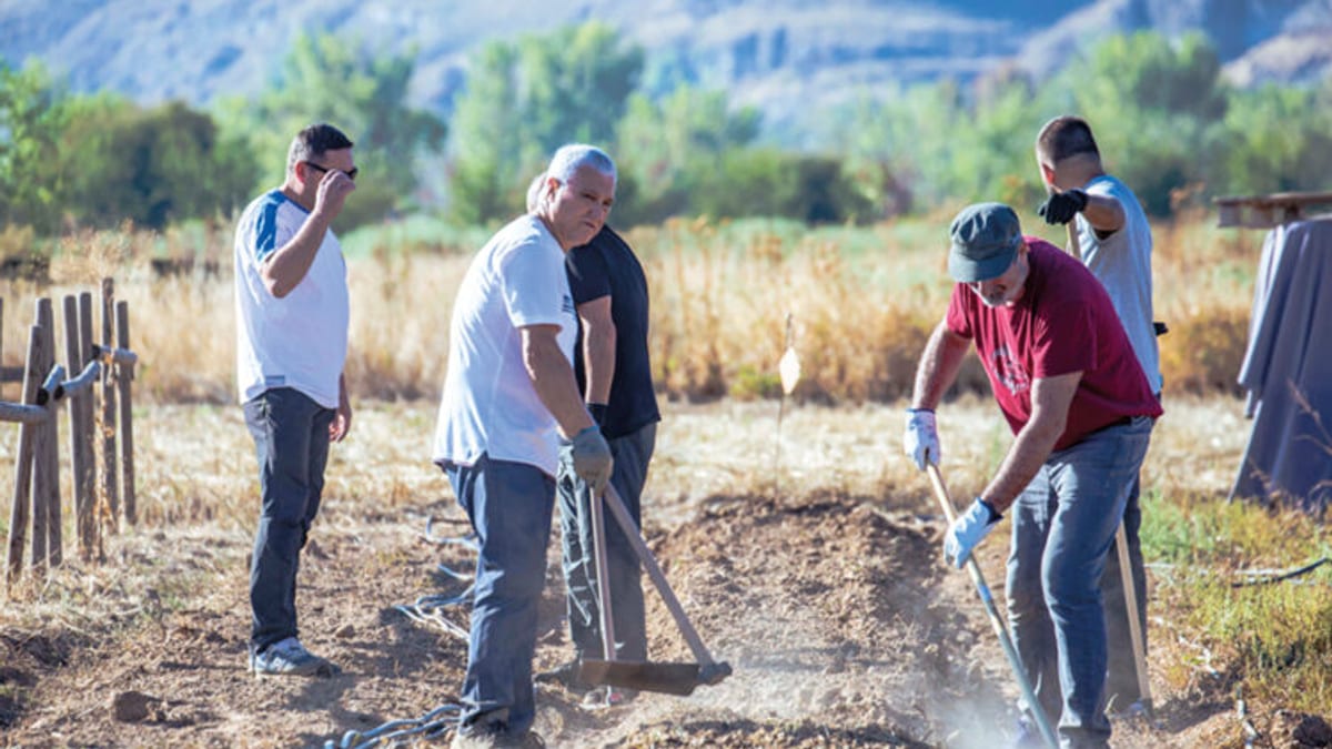 Terreno del parque agroecológico El Soto del Grillo con herramientas agrícolas preparadas para los test agrarios