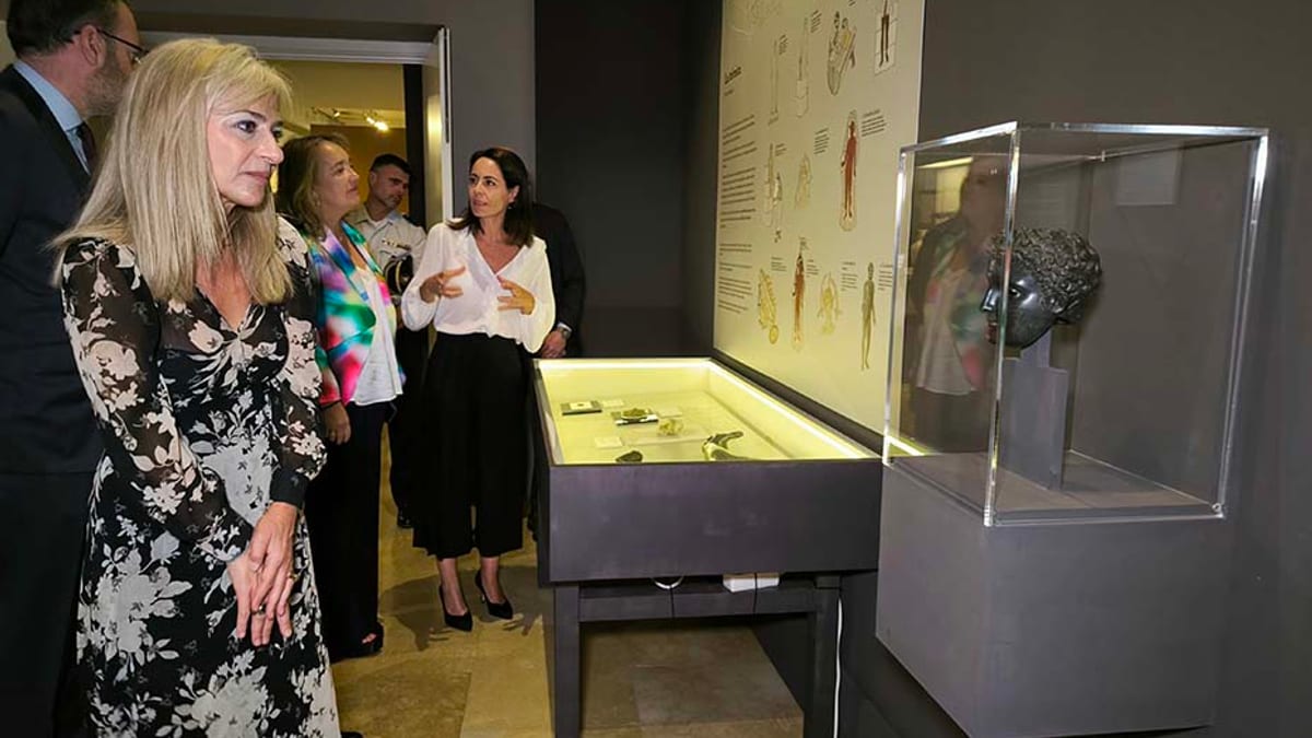 Grupo de visitantes observando vitrinas de exhibición en un museo de Córdoba durante las jornadas técnicas de arqueología