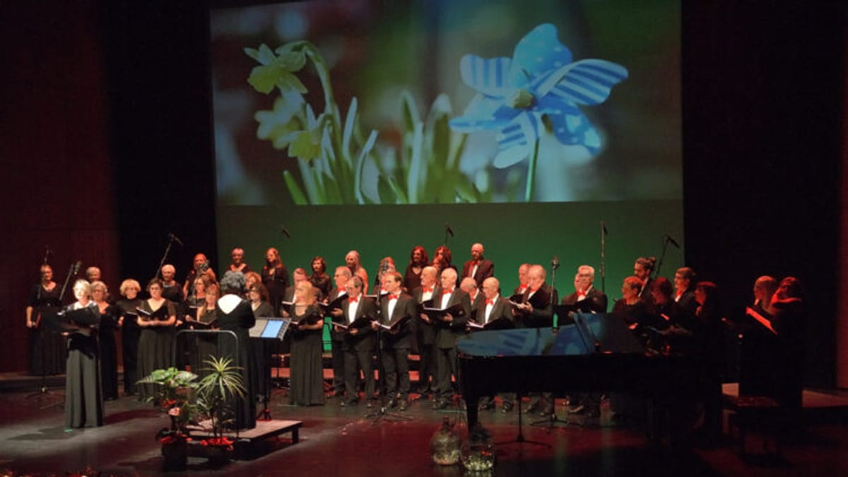 Presentación musical con coro en escenario durante concierto