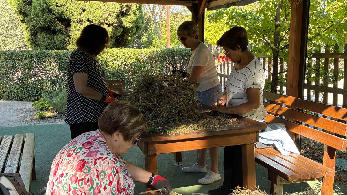Actividades en el jardín terapéutico de Coslada con participantes aprendiendo compostaje y disfrutando de relajación al aire libre