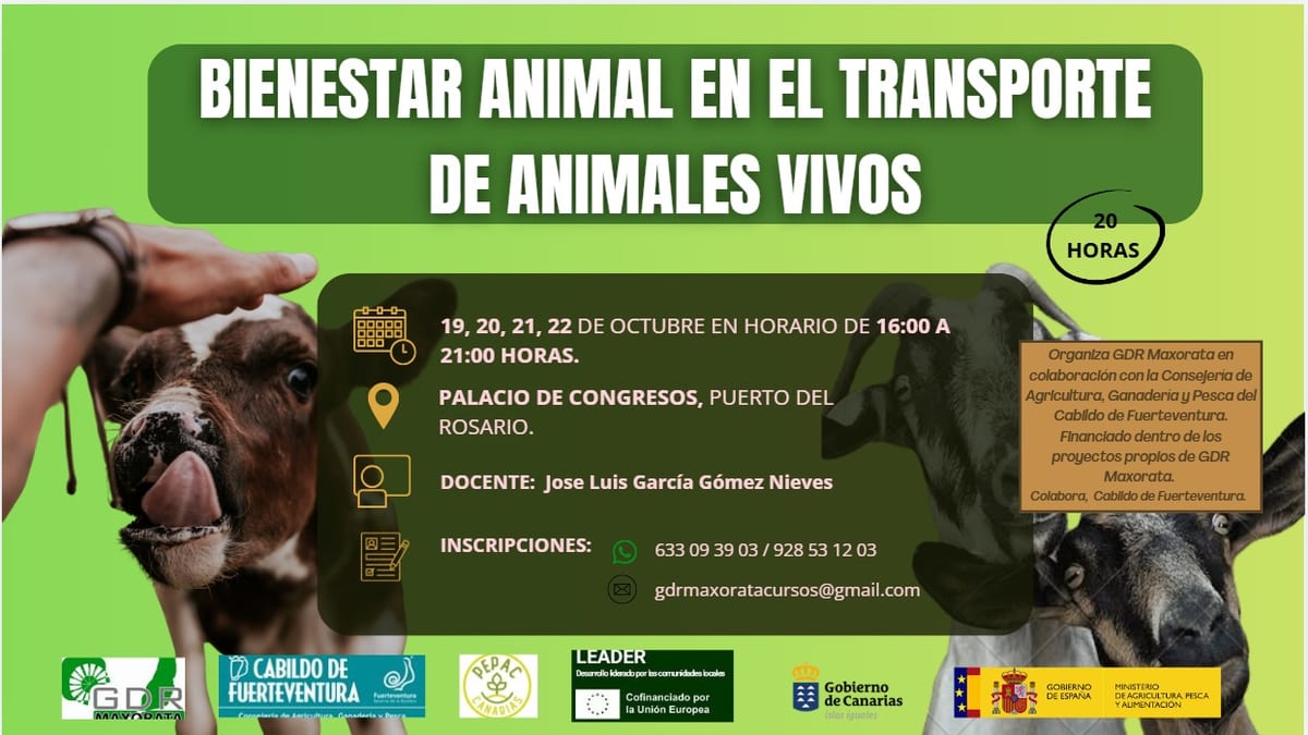 Cartel del curso de bienestar animal en el transporte de animales vivos, 19-22 octubre, Palacio de Congresos Puerto del Rosario