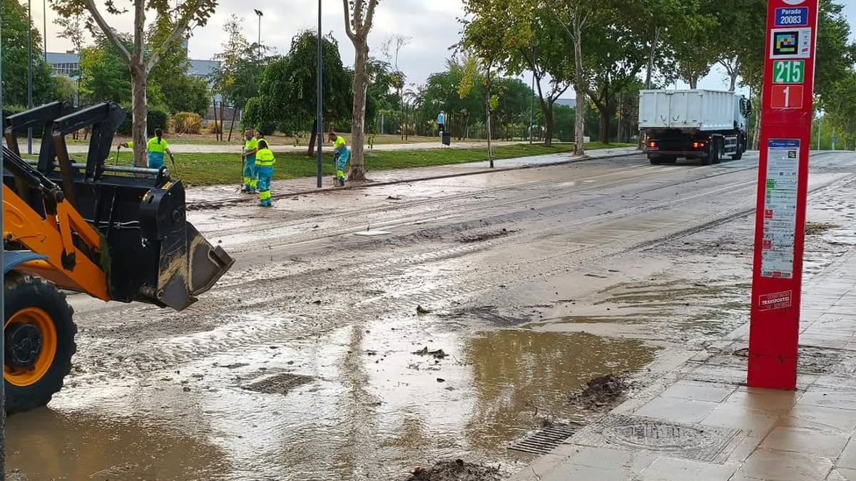Señal de parada de autobús de las líneas 215, L1 y L2 en Paracuellos de Jarama