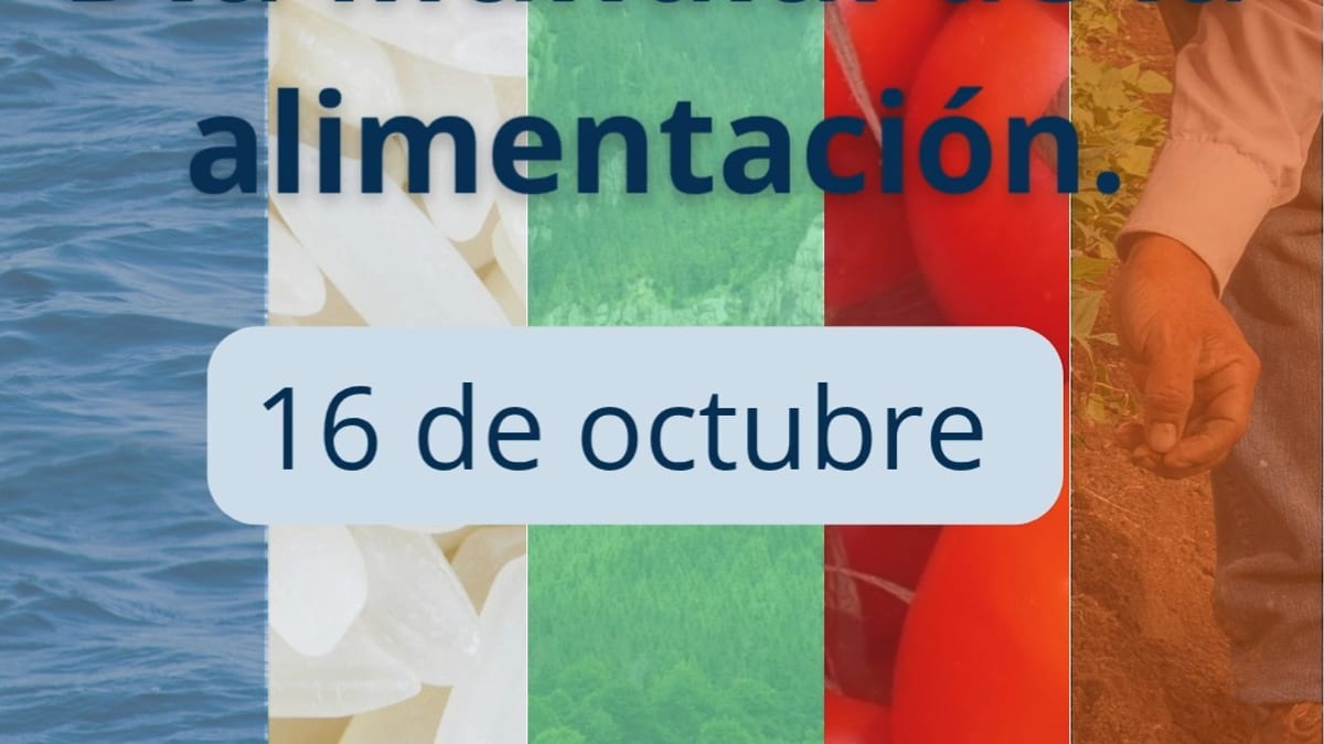 Cartel del Día Mundial de la Alimentación 2024 con el lema 'Innovar hoy para nutrir mañana' del Ministerio de Derechos Sociales, Consumo y Agenda 2030