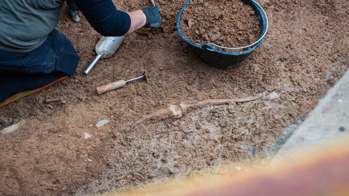 Trabajos de exhumación en la fosa común del cementerio de Cáceres financiados por la Diputación y el Gobierno de España
